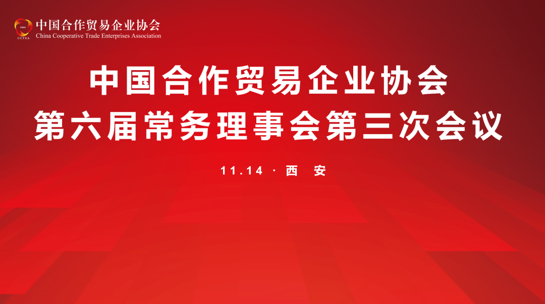 第六届常务理事会第三次会议成功召开