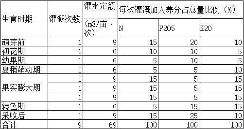 917盛果期甘蔗树灌溉施肥计划