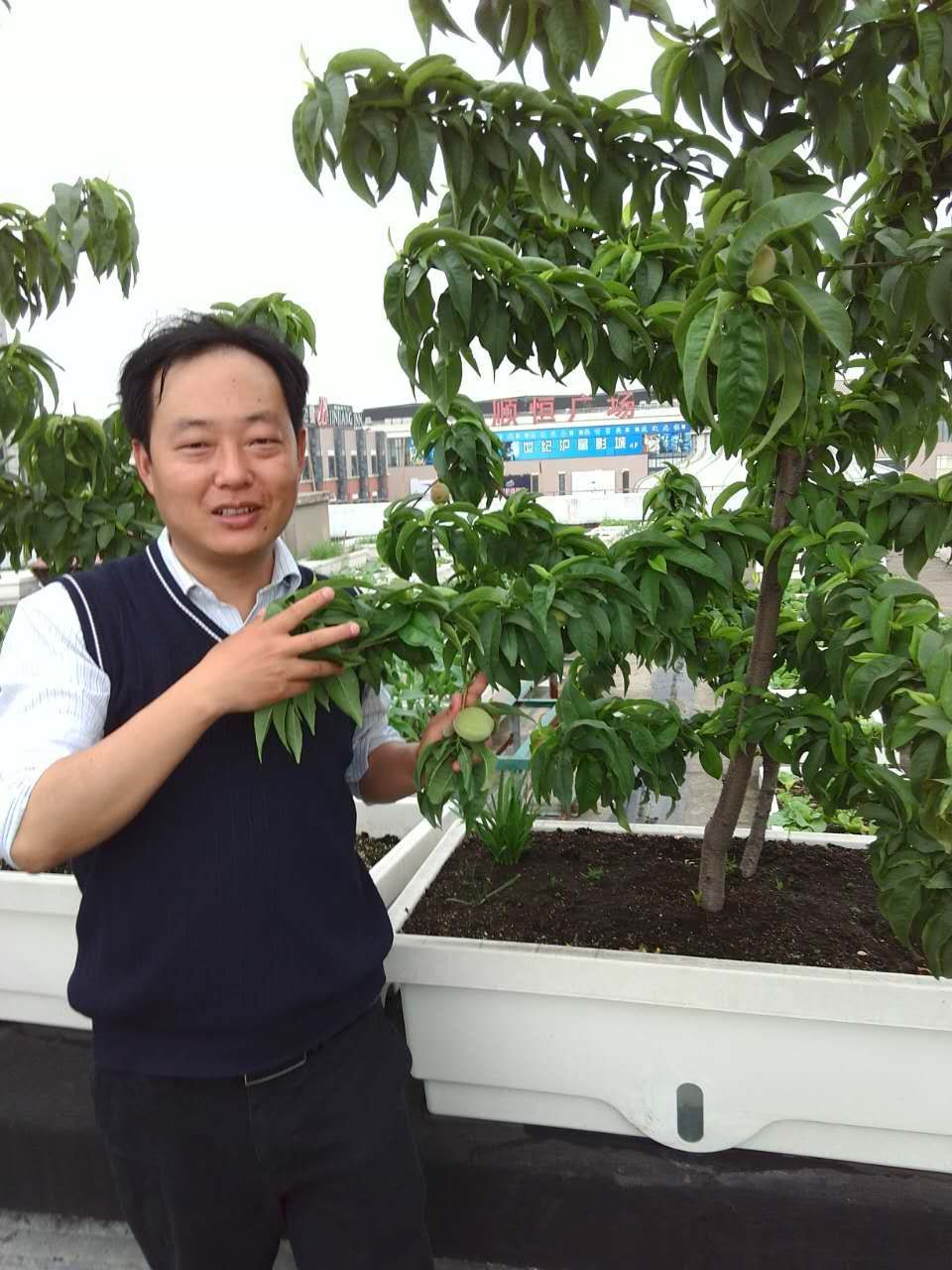 楊仕科