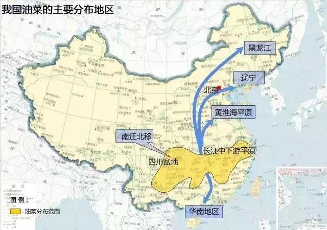 806主要农作物分布——油菜