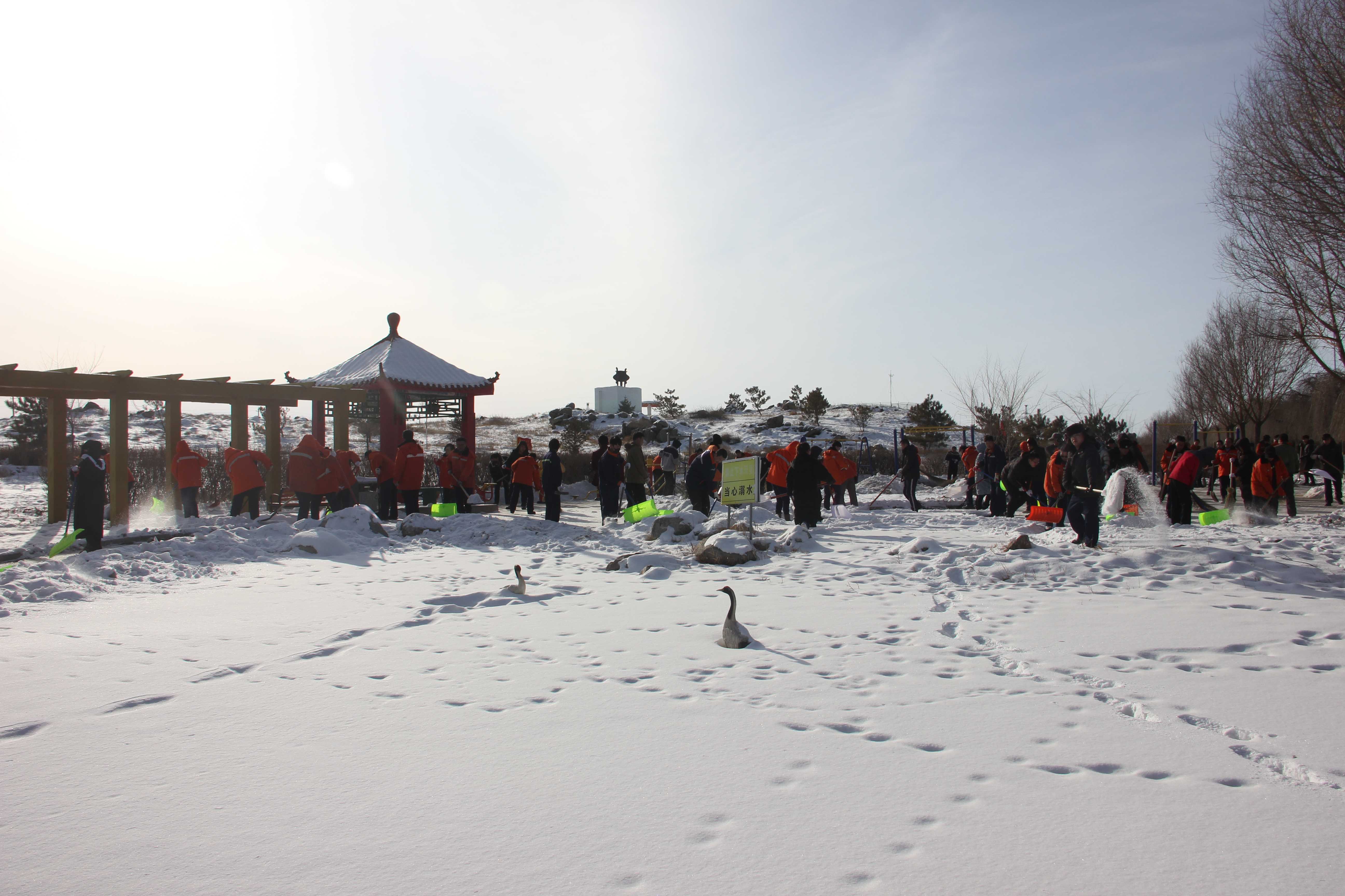 黨團員做表率鏟雪除冰進行時-鏟雪除冰5