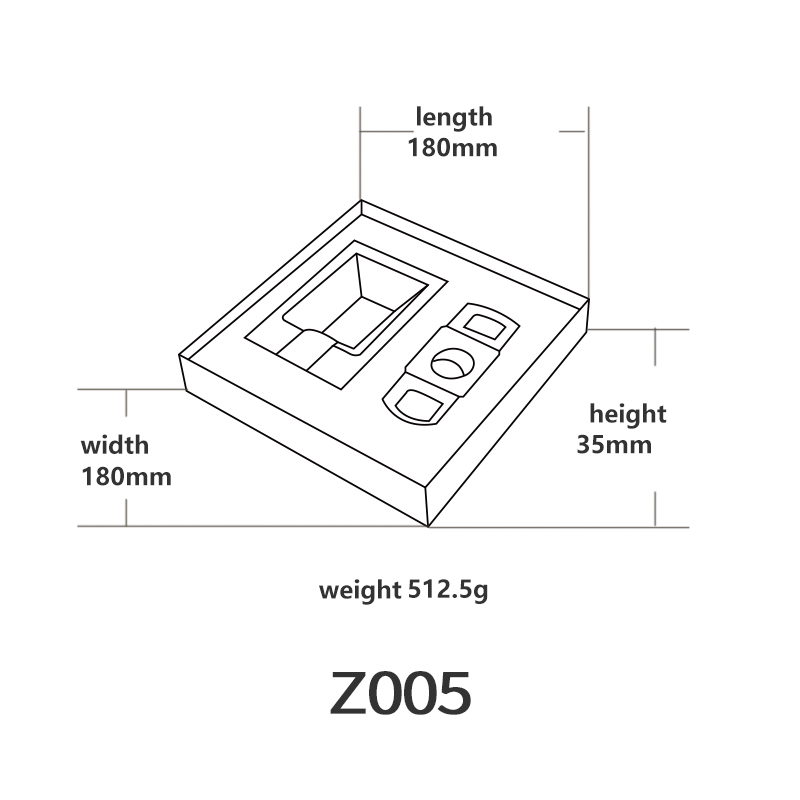 Z005英文