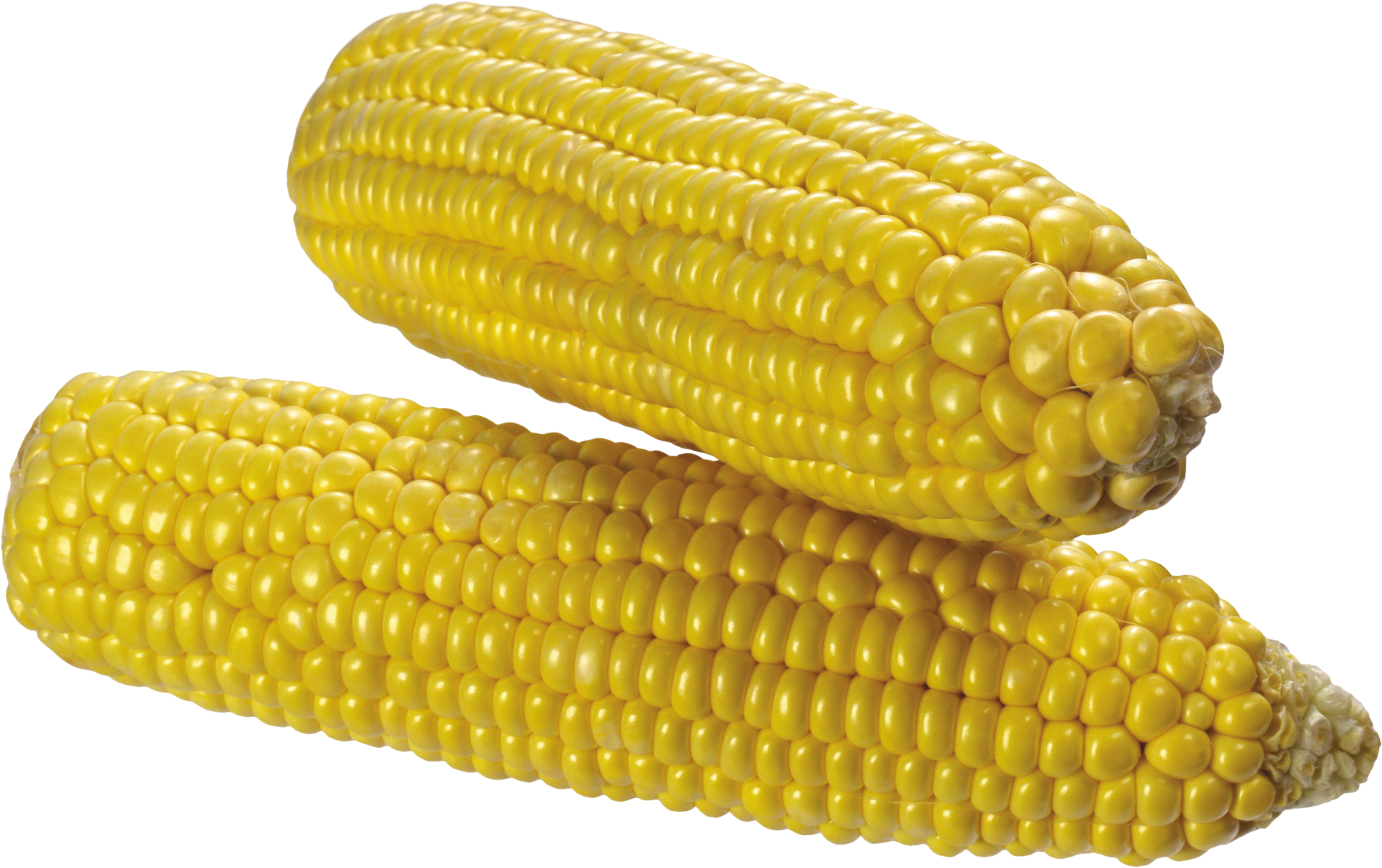 corn_PNG5271