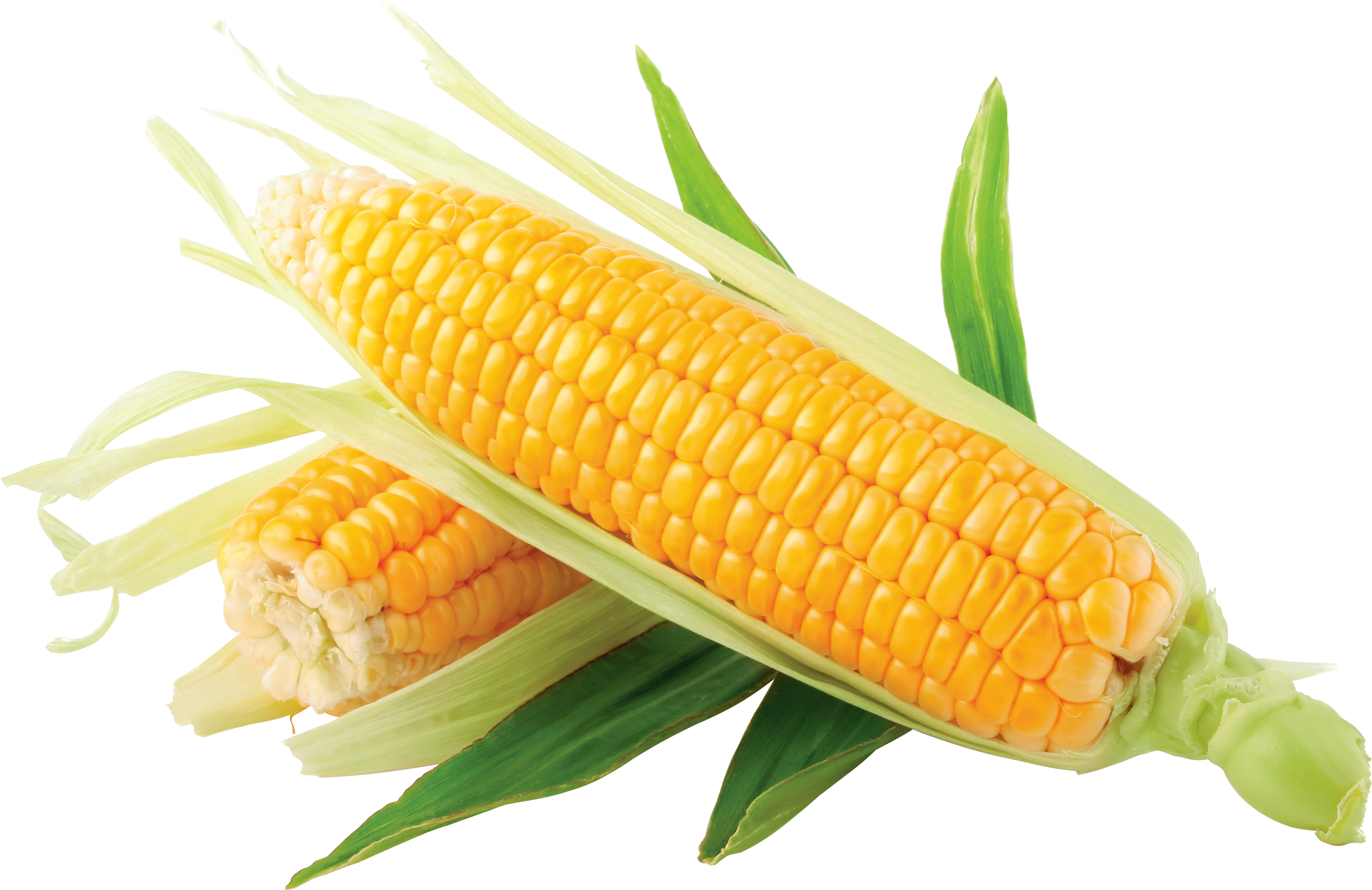 corn_PNG5273