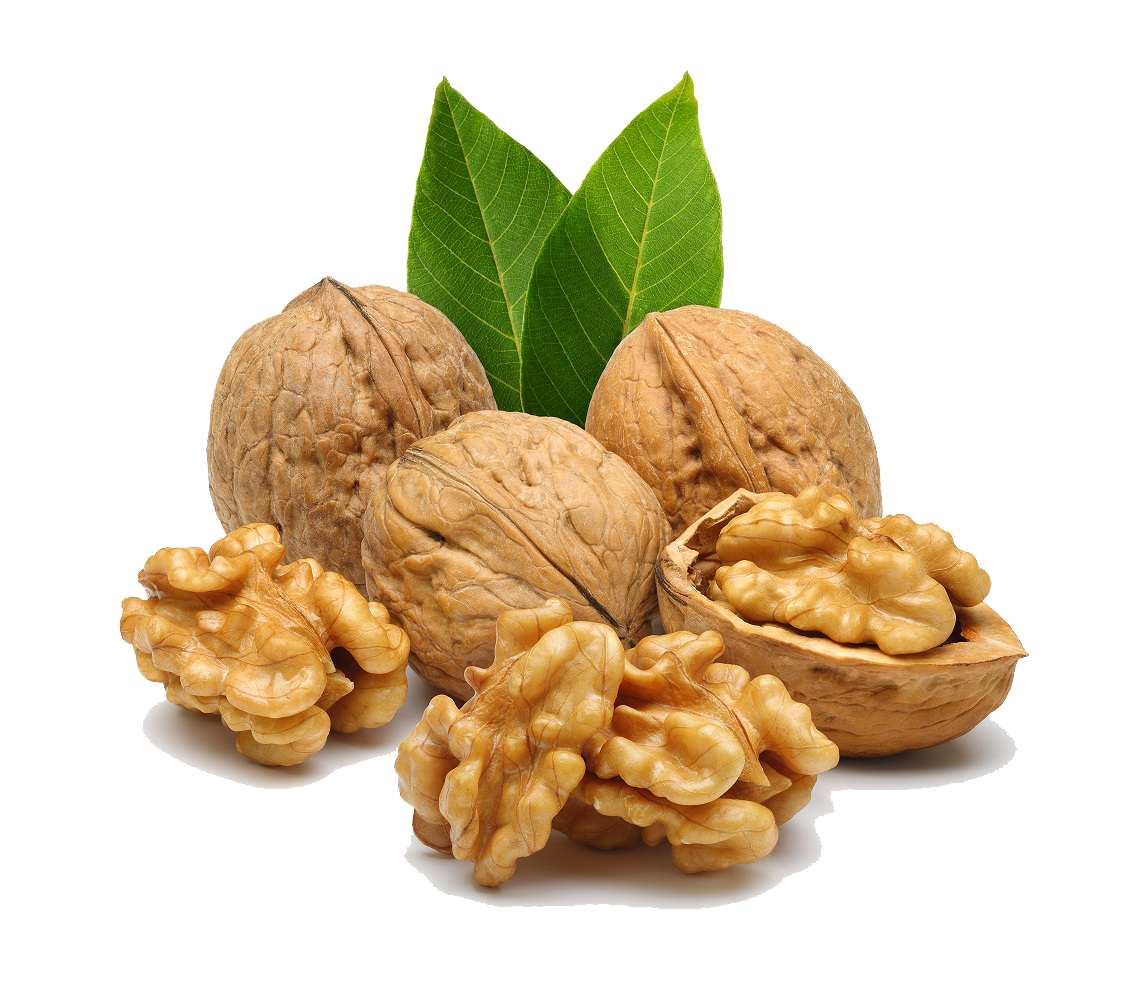 walnut_PNG26