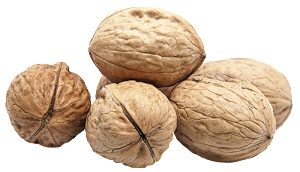 walnut_PNG52