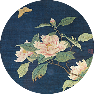 相同形制