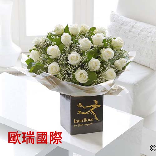 24支白玫瑰