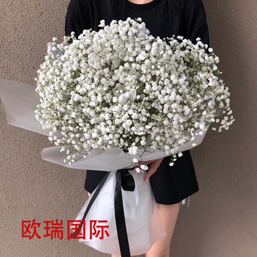 9339431副本