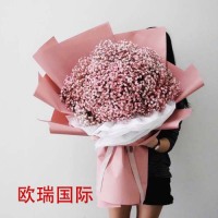 粉色满天星