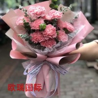 12粉康
