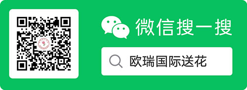 欧瑞国际送花 微信公众号