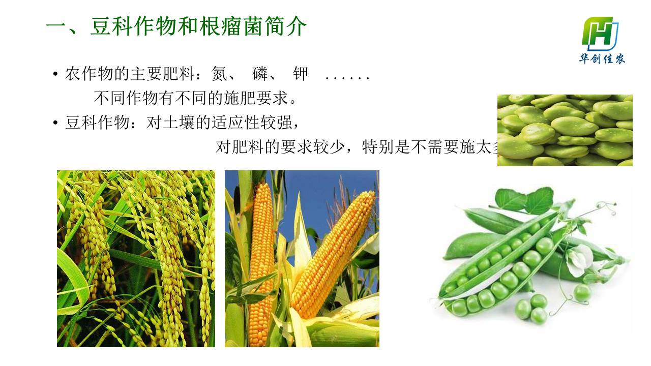 幻灯片2