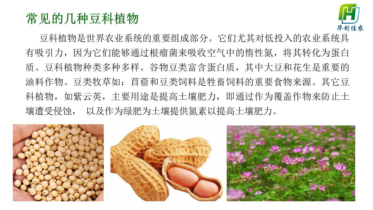 幻灯片4