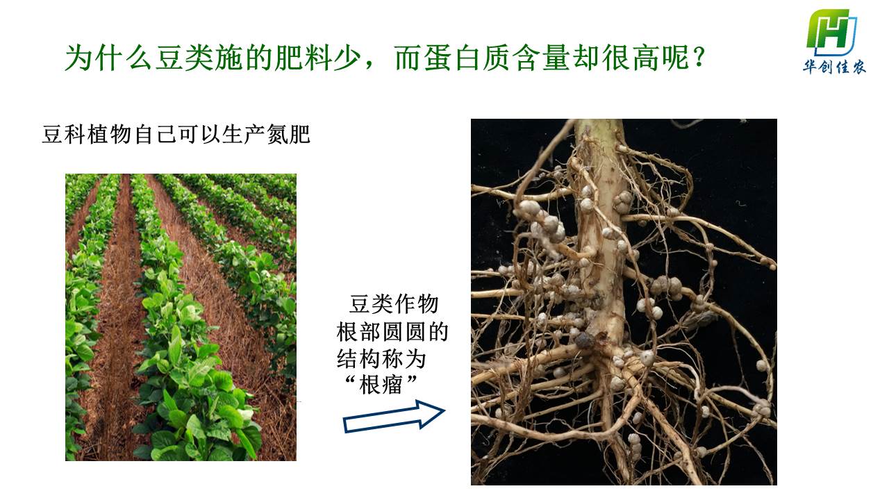 幻灯片5