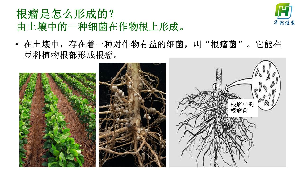 幻灯片7