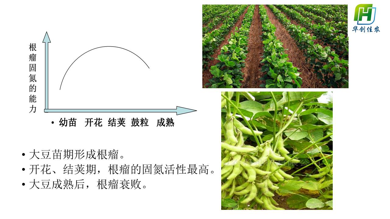 幻灯片8