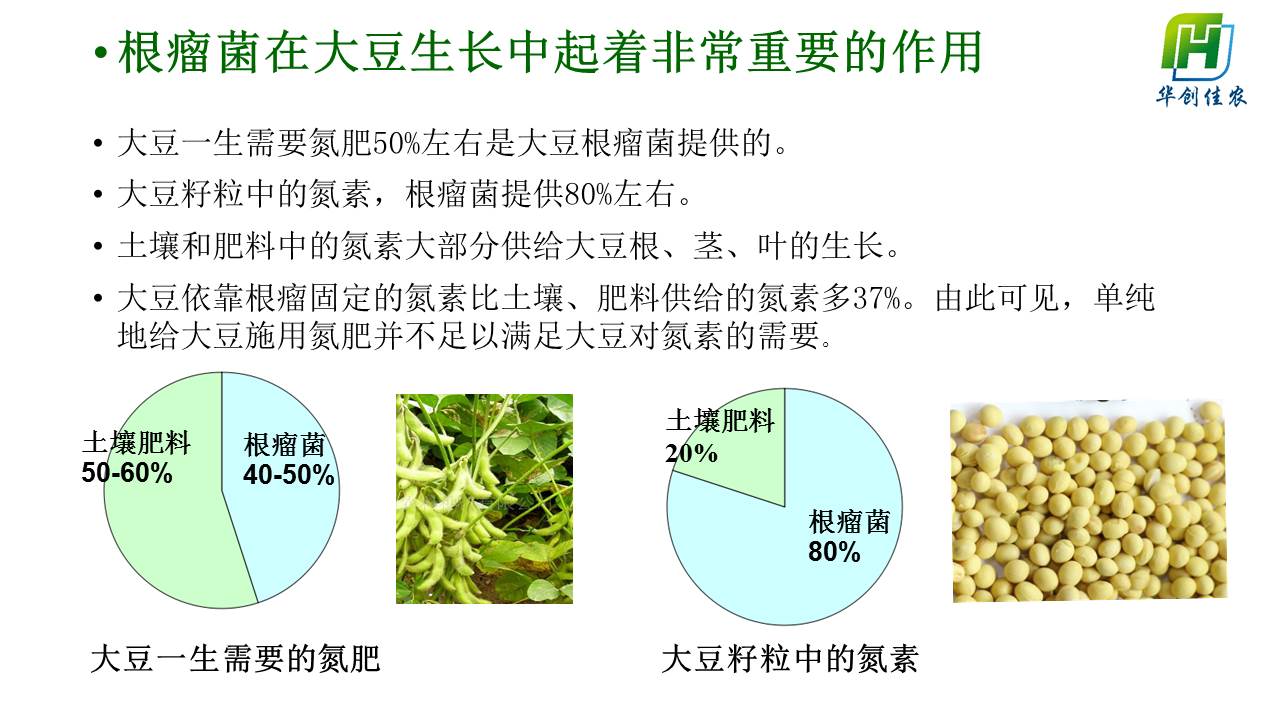 幻灯片9