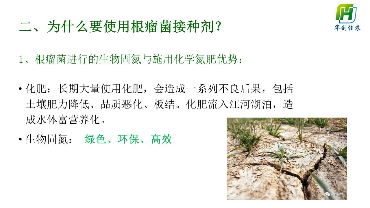 幻灯片10