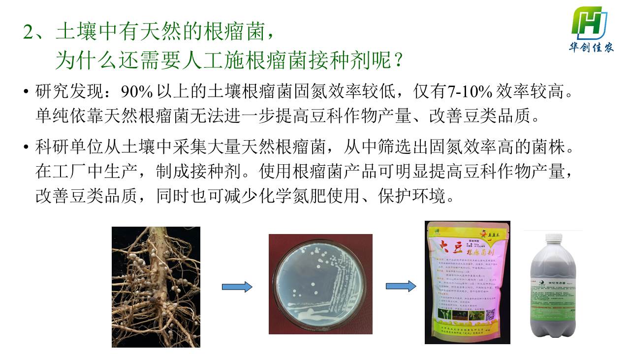 幻灯片11