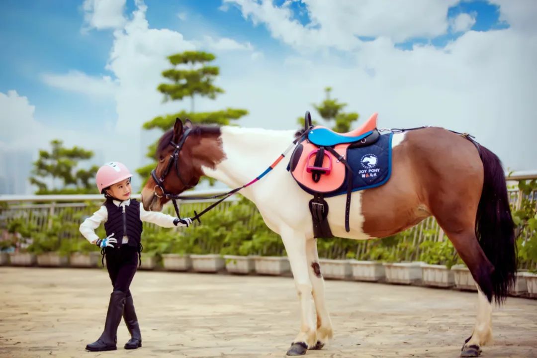 骑乐马术让更多孩子爱上马术收获快乐和成长