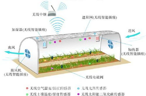 塑料薄膜大棚环境智能调控解决方案