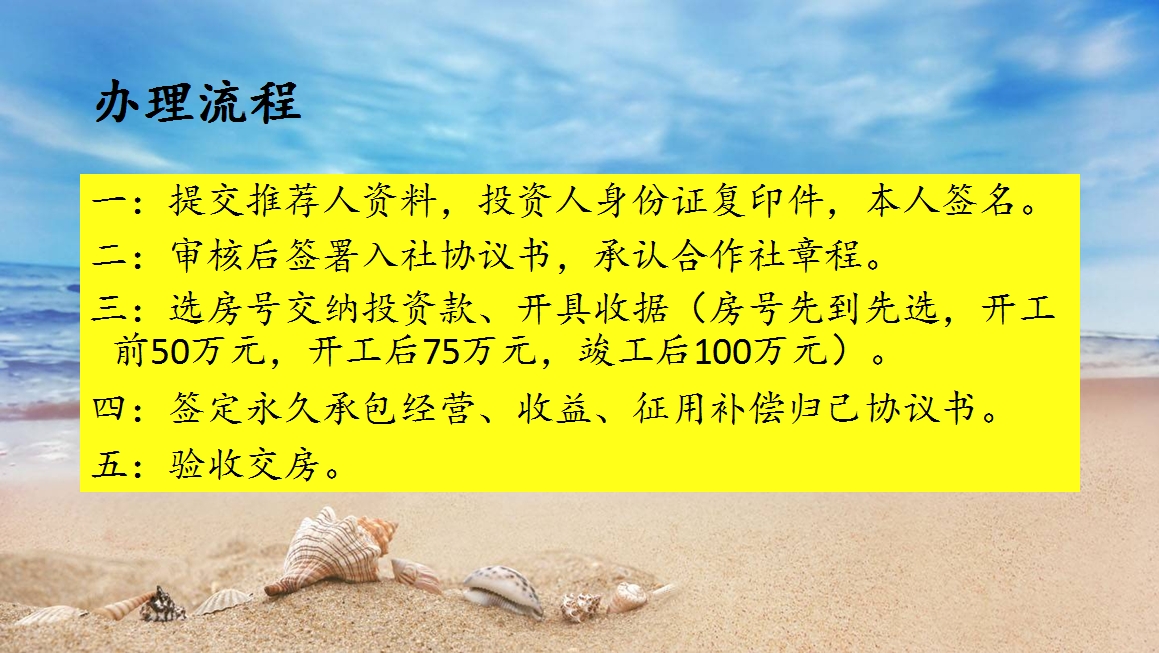 办理流程