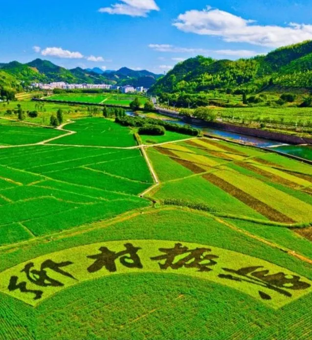 而农村的发展,就离不开人