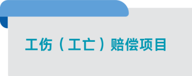 工伤赔偿项目