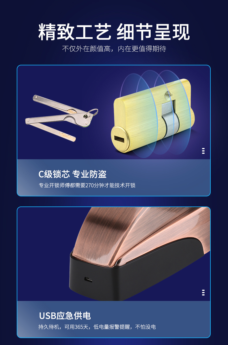 T5红古铜_08