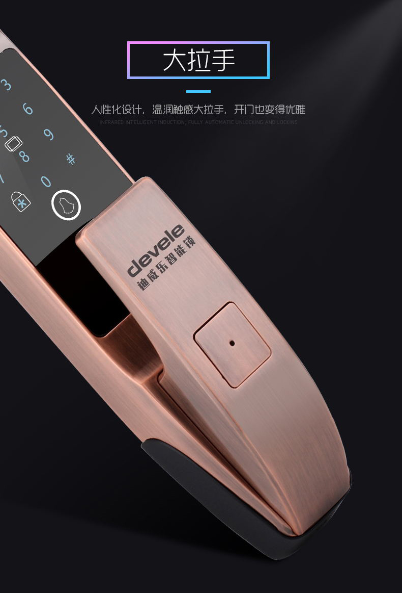 DX303红古铜_03