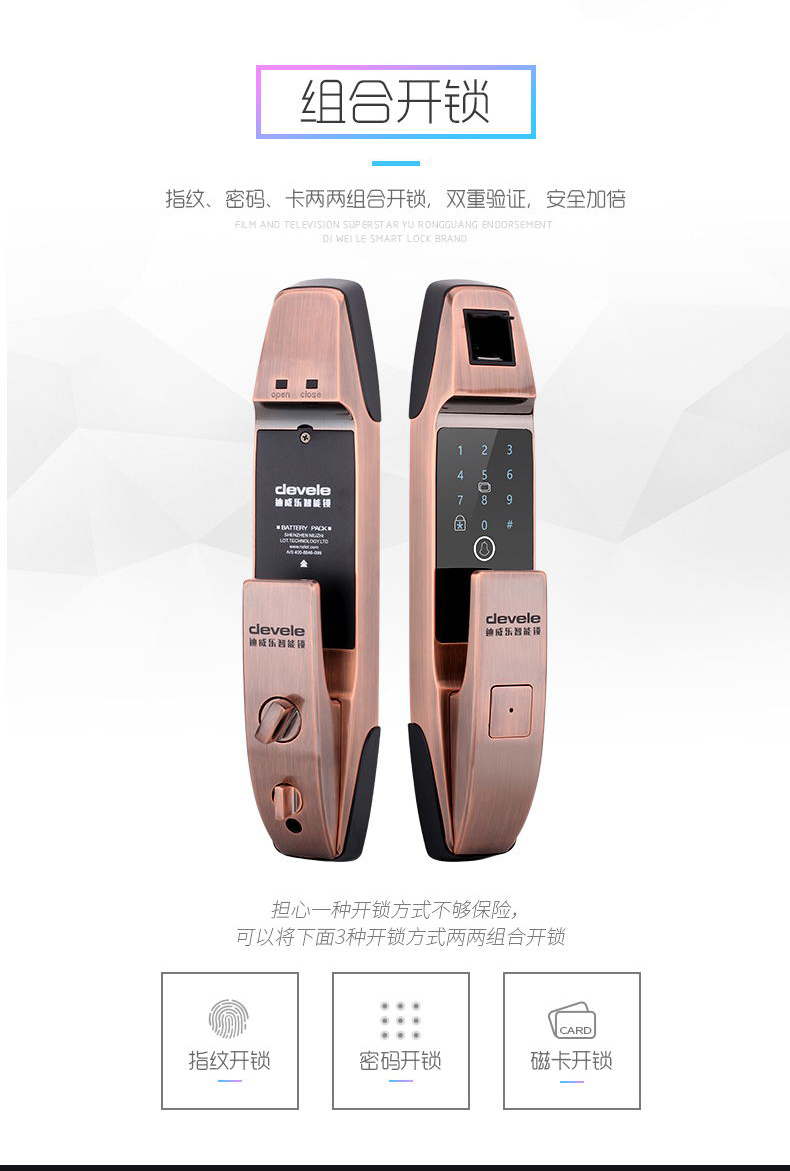 DX303红古铜_10