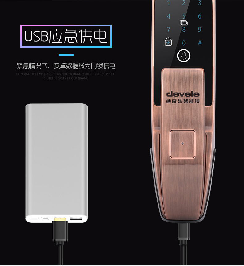 DX303红古铜_13