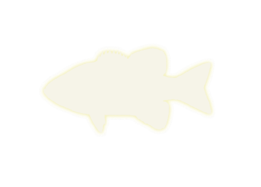 鱼