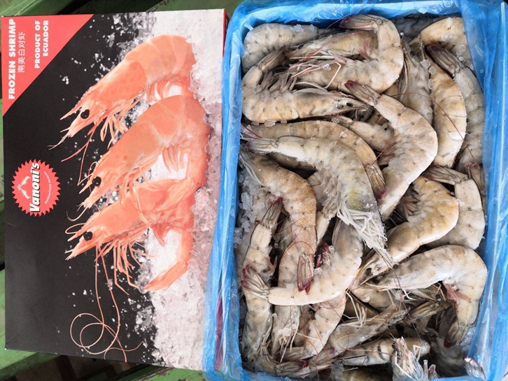 厄瓜多尔冷冻虾进口清关流程