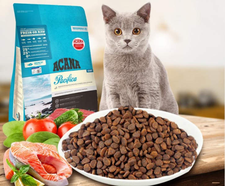 宠物猫粮进口报关公司