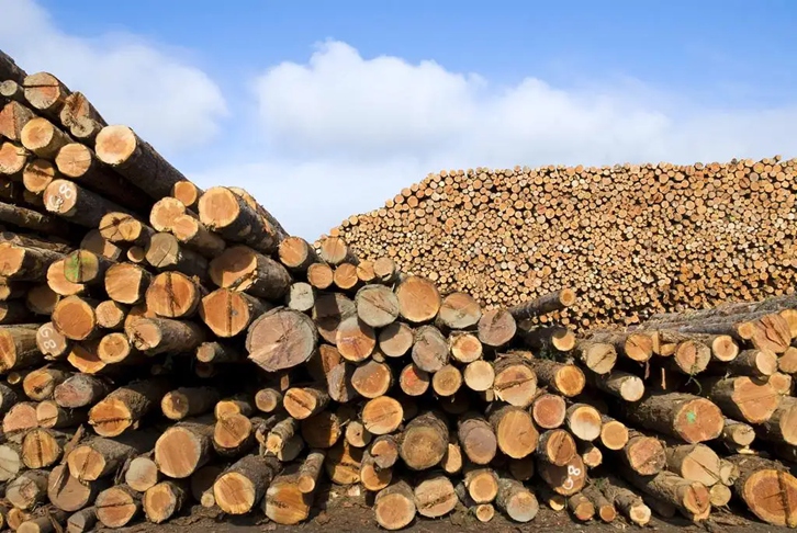 木材进口清关进口流程