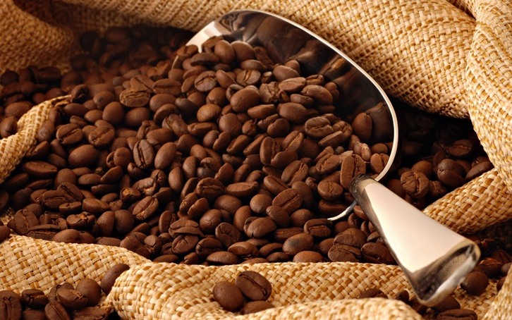 广州咖啡豆进口清关公司