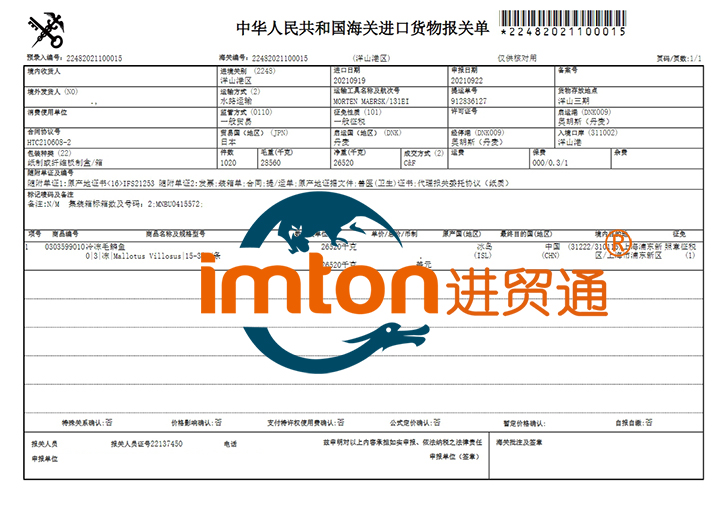 上海进口毛鳞鱼报关流程