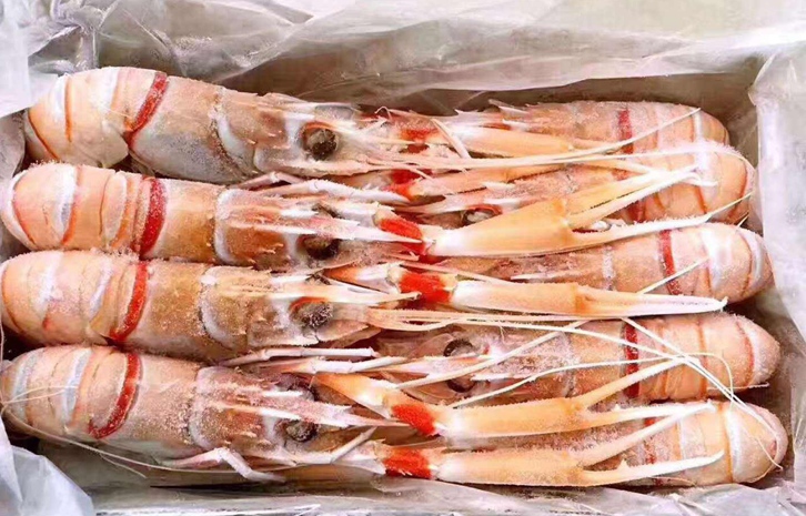 巴布亚新几内亚冷冻龙虾进口报关