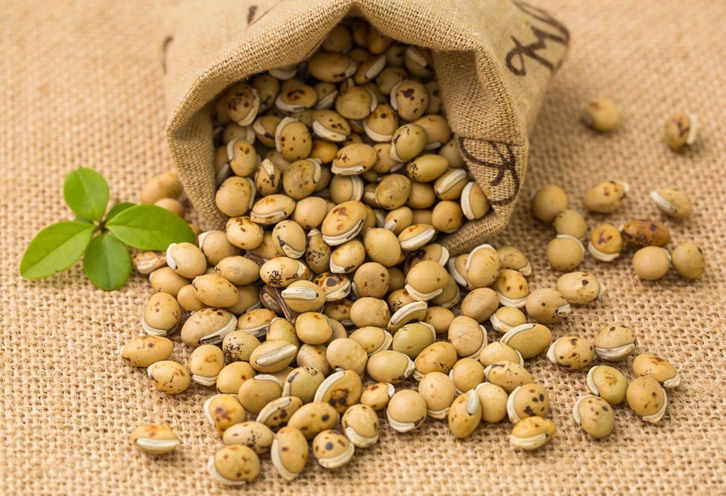 法国白扁豆药材进口报关流程