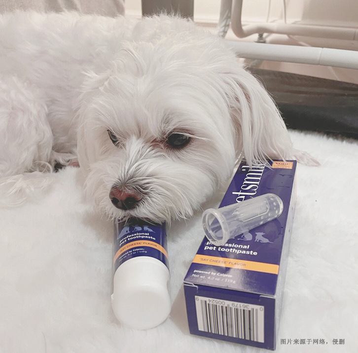 日本宠物牙膏进口报关流程