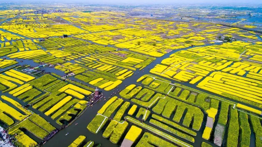 江苏兴化的水乡垛田