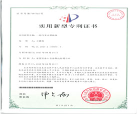 专利2