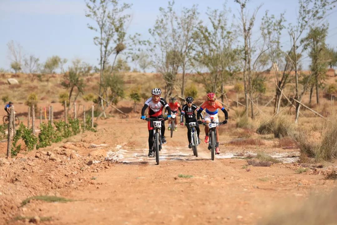 葡萄酒缘何恋上山地自行车？--记西鸽酒庄·首届贺兰山东麓山地旅游自行车挑战赛-11