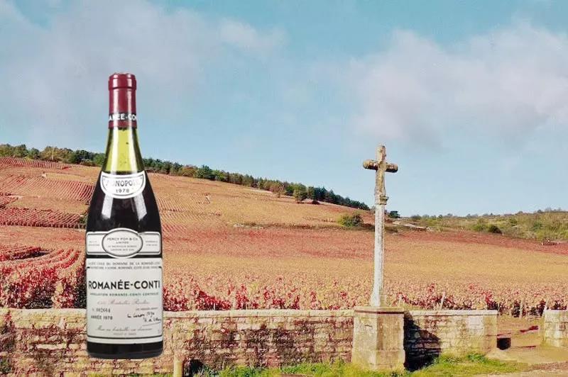 长脸了！外国武官们都夸中国葡萄酒非常棒！-7