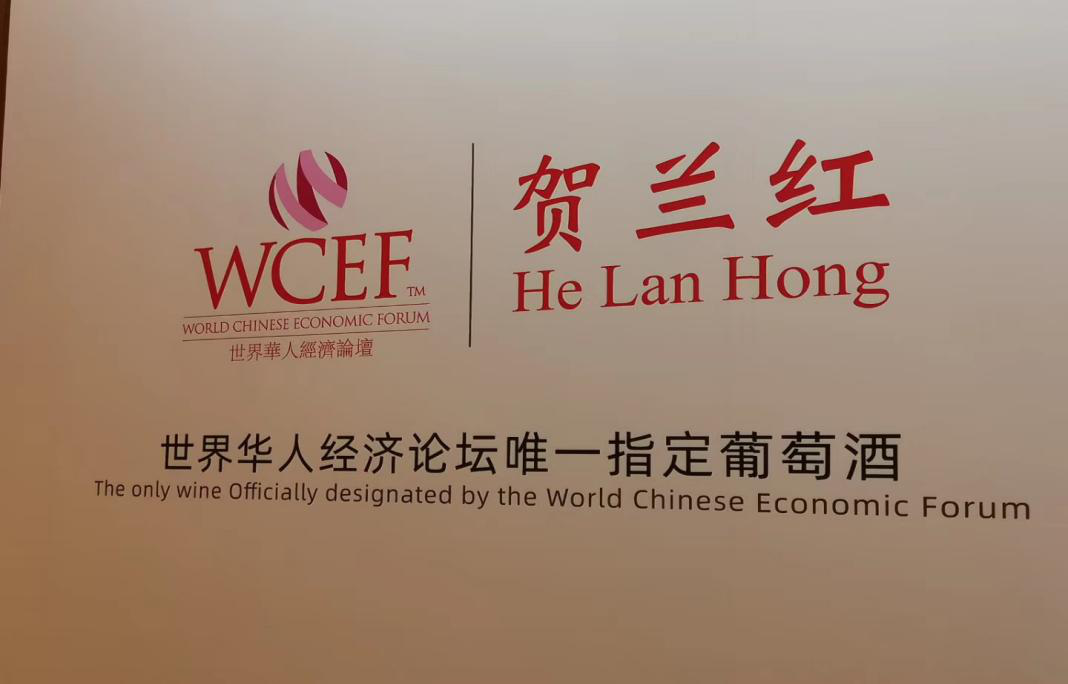 梁正英为啥来宁夏-图片2