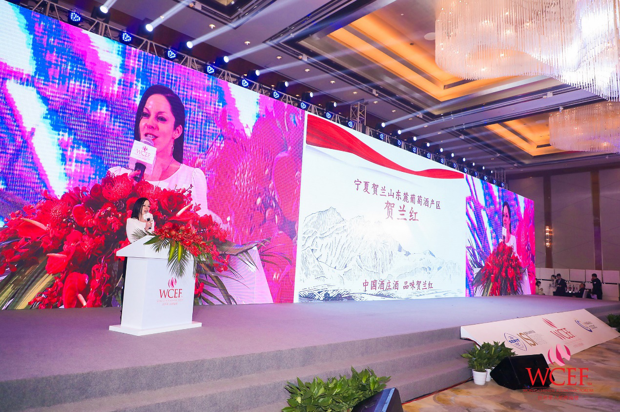 梁正英为啥来宁夏-图片6