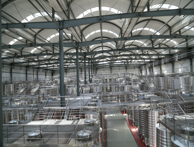 梁正英为啥来宁夏-图片7