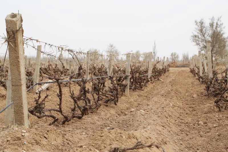 微信图片_20200414130906